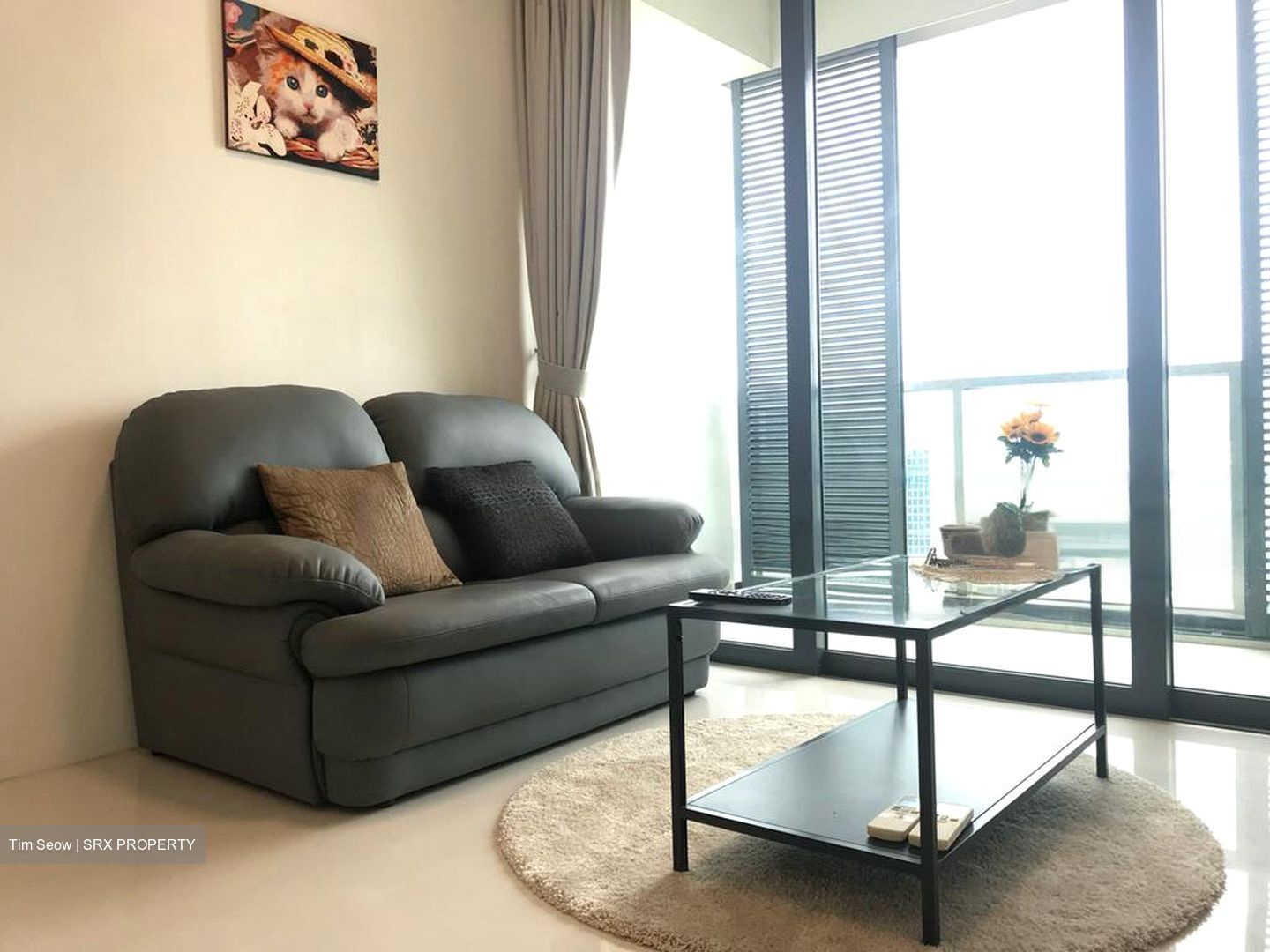 Soleil @ Sinaran (D11), Condominium #567002421
